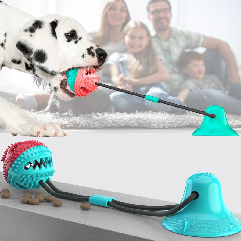 Raxiva-dog suction toy