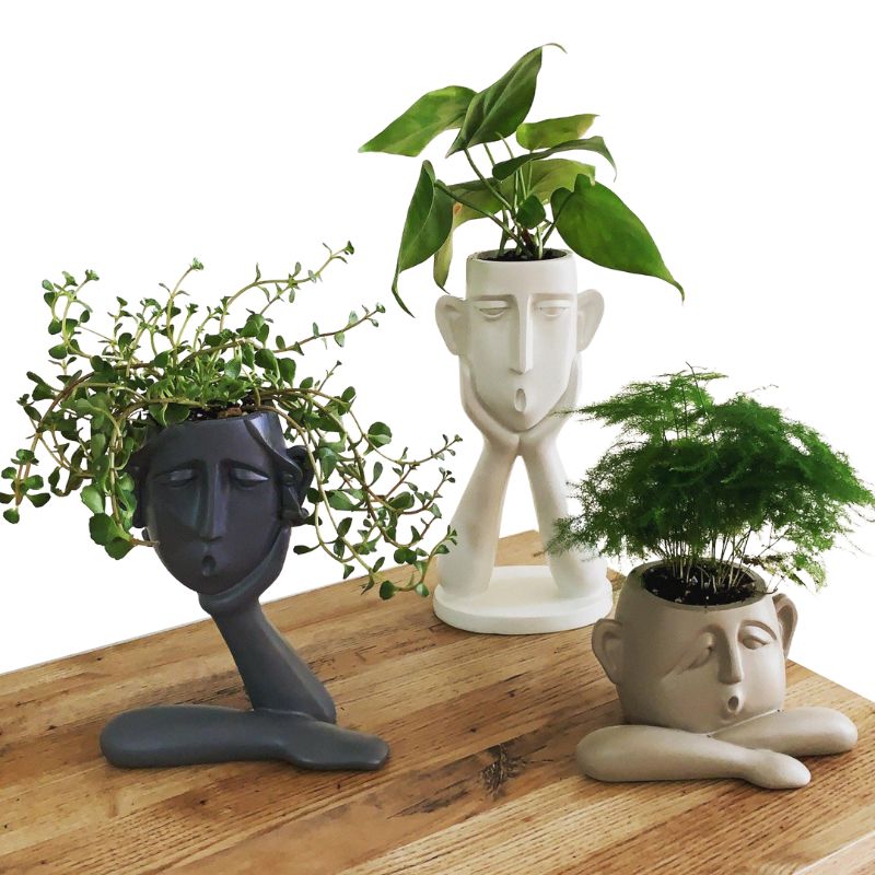 Raxiva modern living room decoration