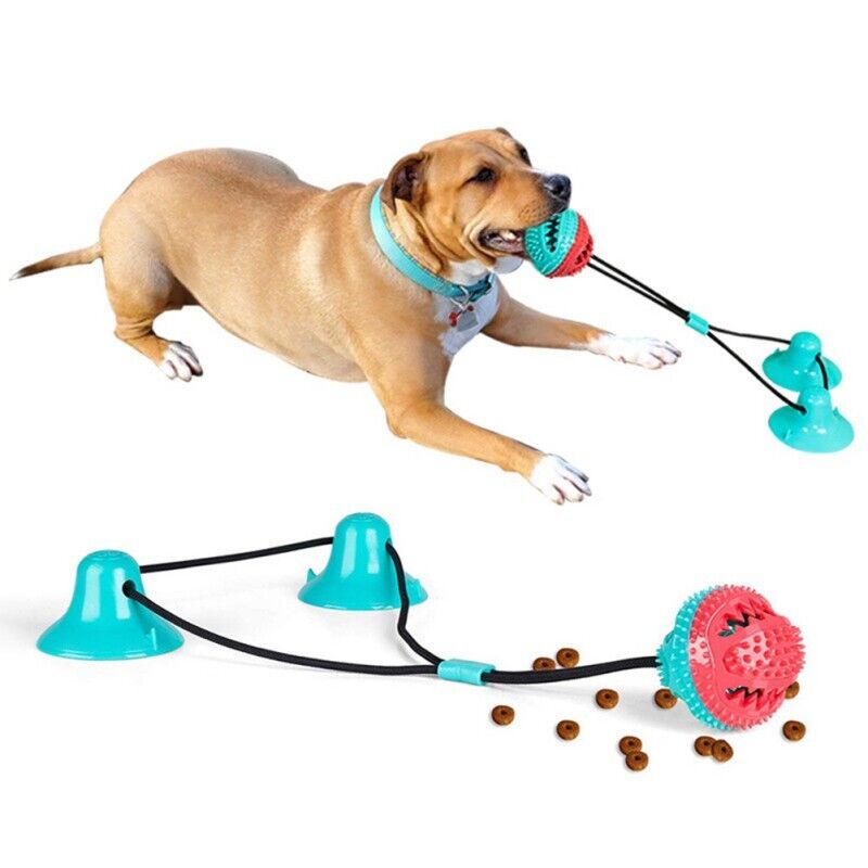 Raxiva-dog suction toy
