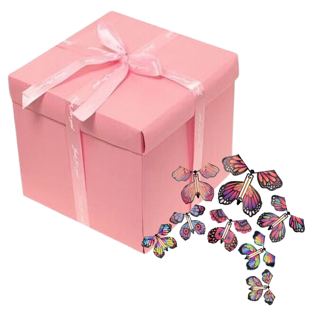 Raxiva-diy valentine day magic butterfly photo gift