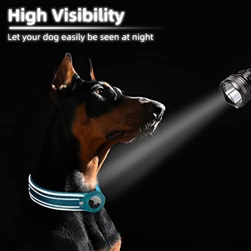 Raxiva-airtag dog collar