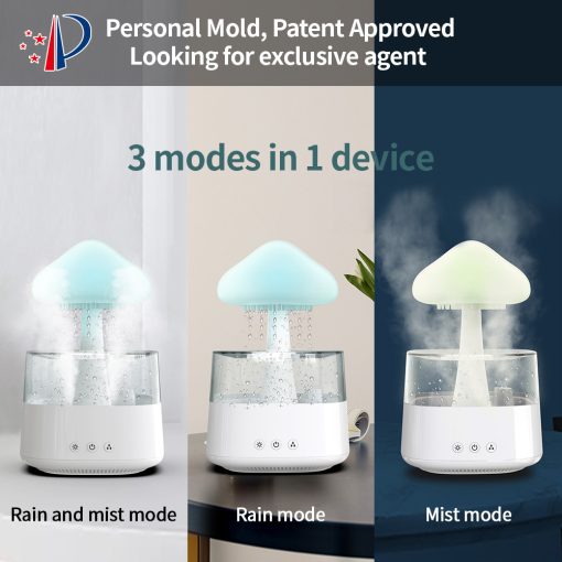 Raxiva-2 in 1 desk light humidifier rain cloud aromatherapy zen diffuser night light mushroom lamp