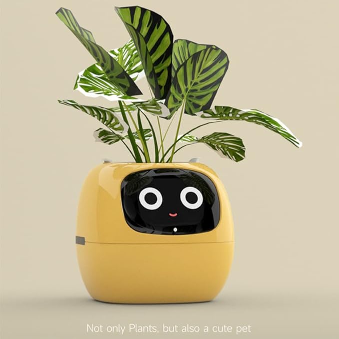 Raxiva-ivybot le compagnon vegetal revolutionnaire