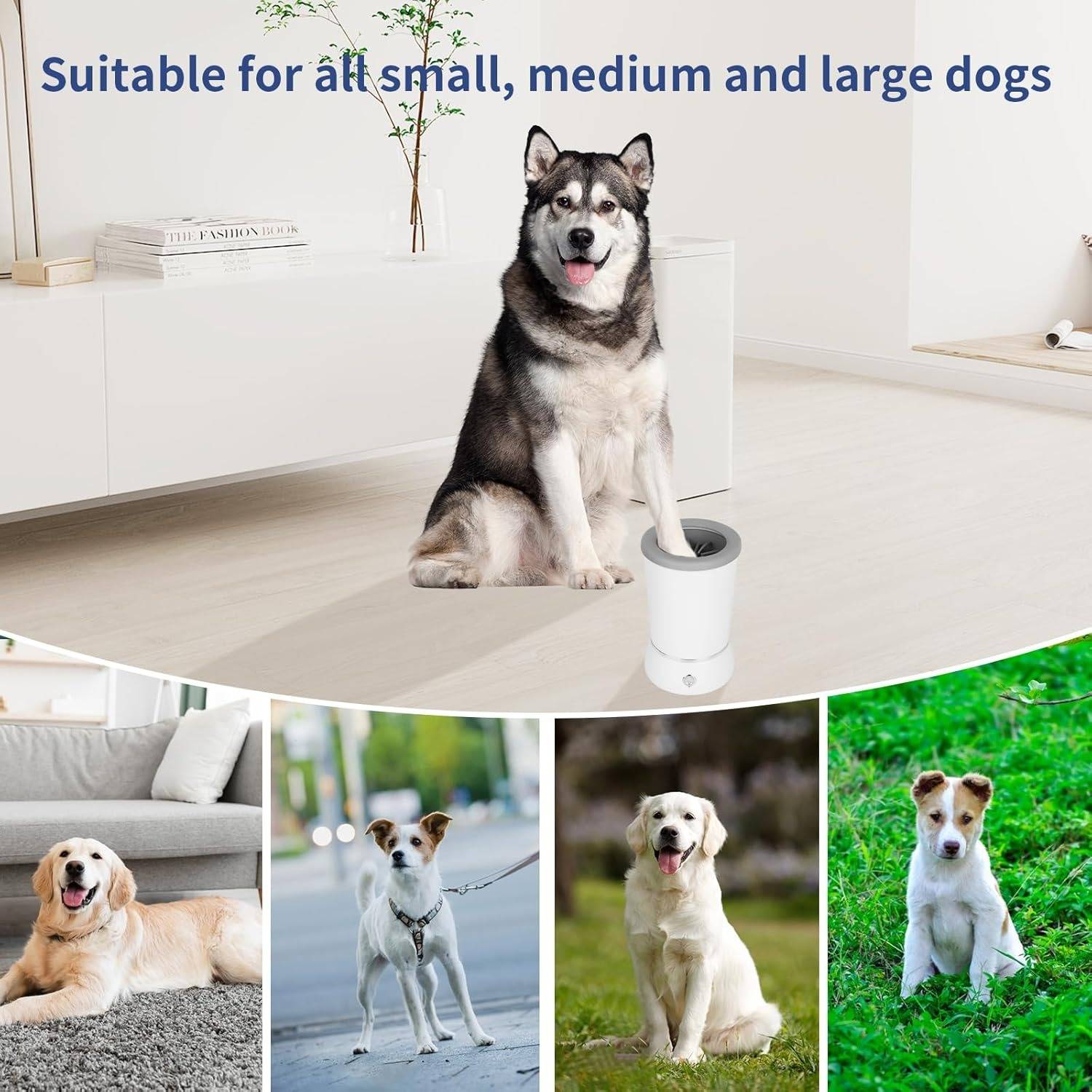 Raxiva-automatic dog paw cleaner