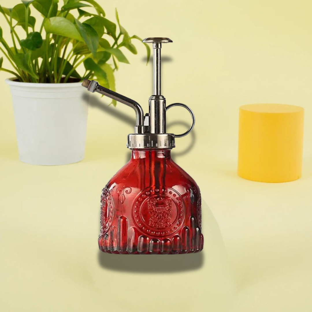 Raxiva-brumisateur retro accessoire chic pour plantes dinterieur