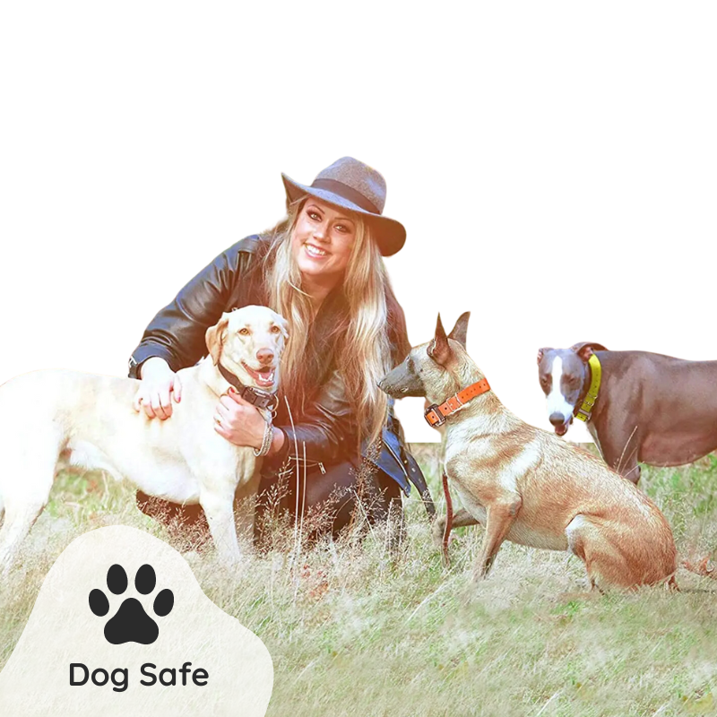 Raxiva remote dog training collar