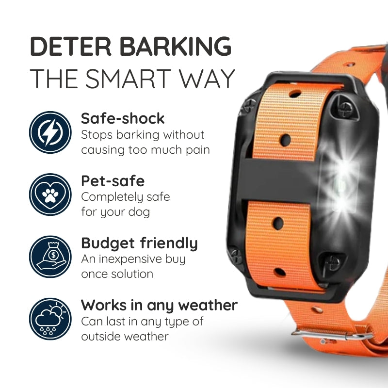 Raxiva remote dog training collar
