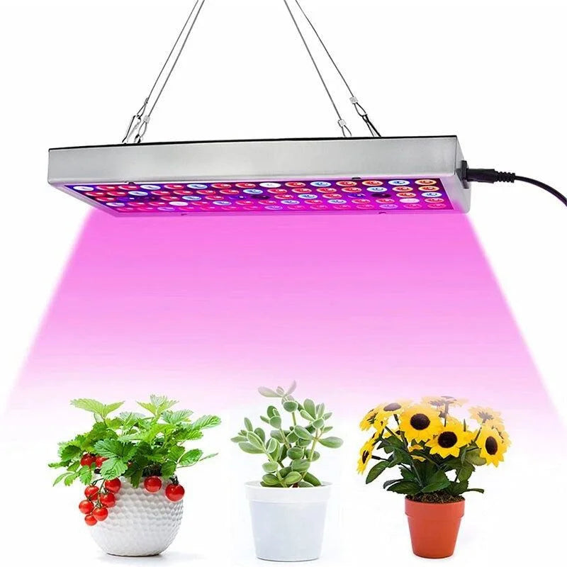 Raxiva growth led light