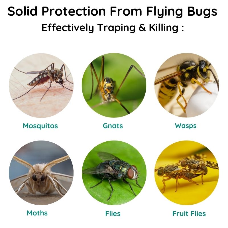 Raxiva smart portable mosquito fly trap