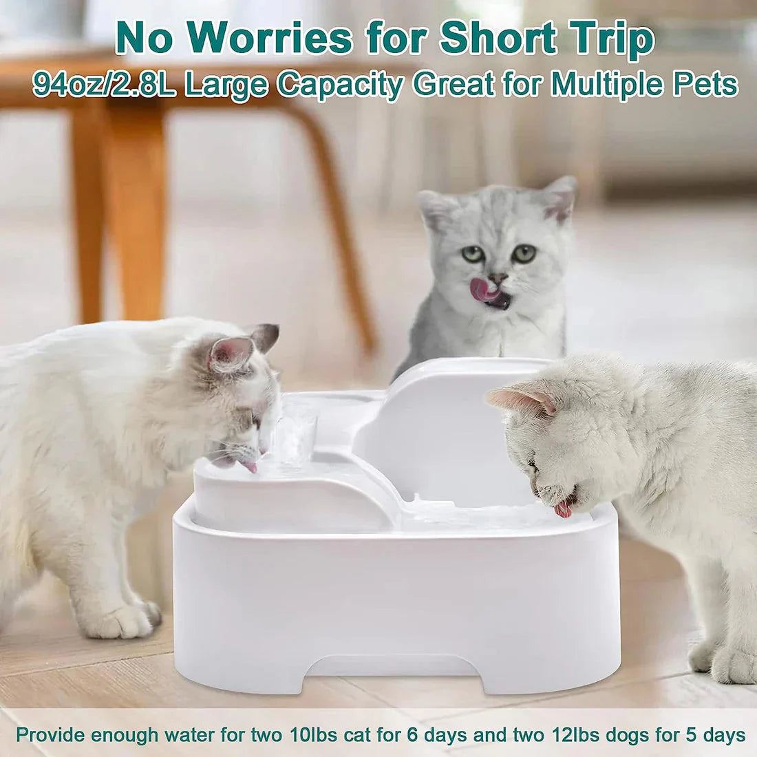 Pet Fountain-Raxiva-SKU38841708187549757Pet Fountain7491665690685, Pet Fountain, , Raxiva, Pet Fountain,