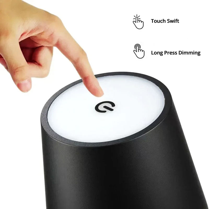 Raxiva modern rechargeable led wireless light