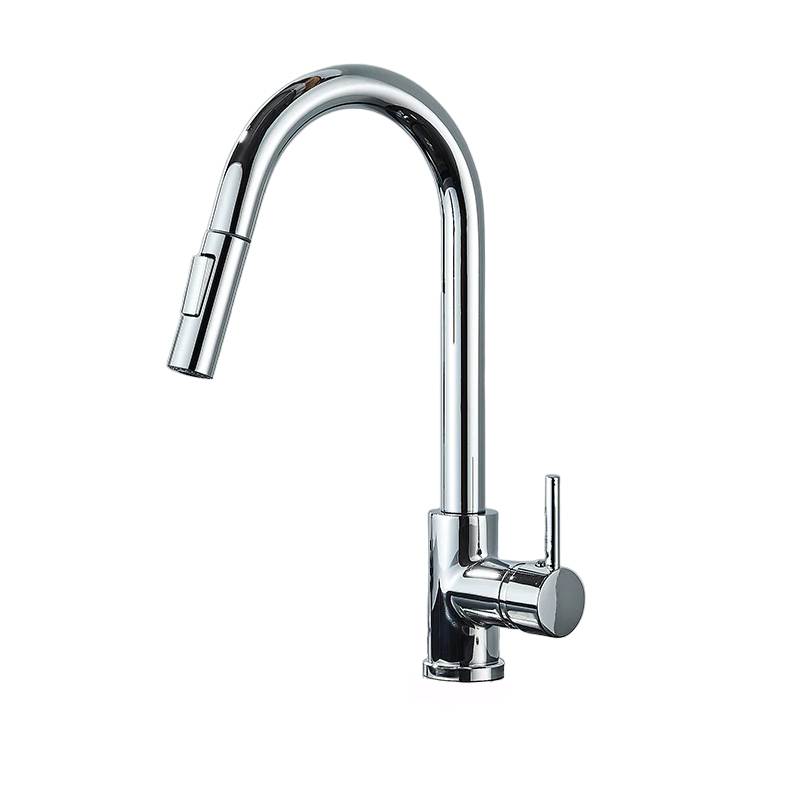 Raxiva-single handle pull out kitchen faucet versatile design modern kitchens