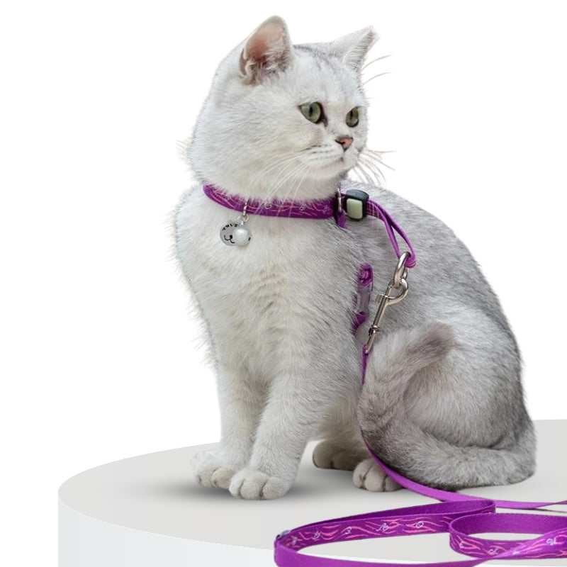 Raxiva - Cotton Cat Collar and Leash