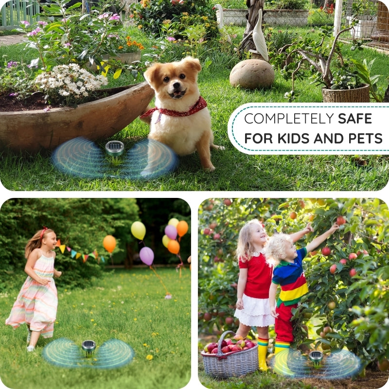 Raxiva - Infrared Solar Powered Underground Repellent