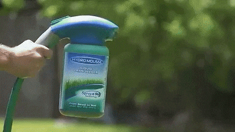 Raxiva - Liquid Lawn Fertilizer Formula