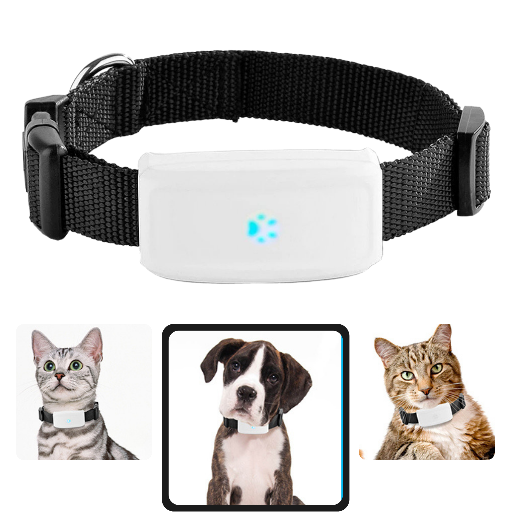 Raxiva - Pet GPS Tracking Collar