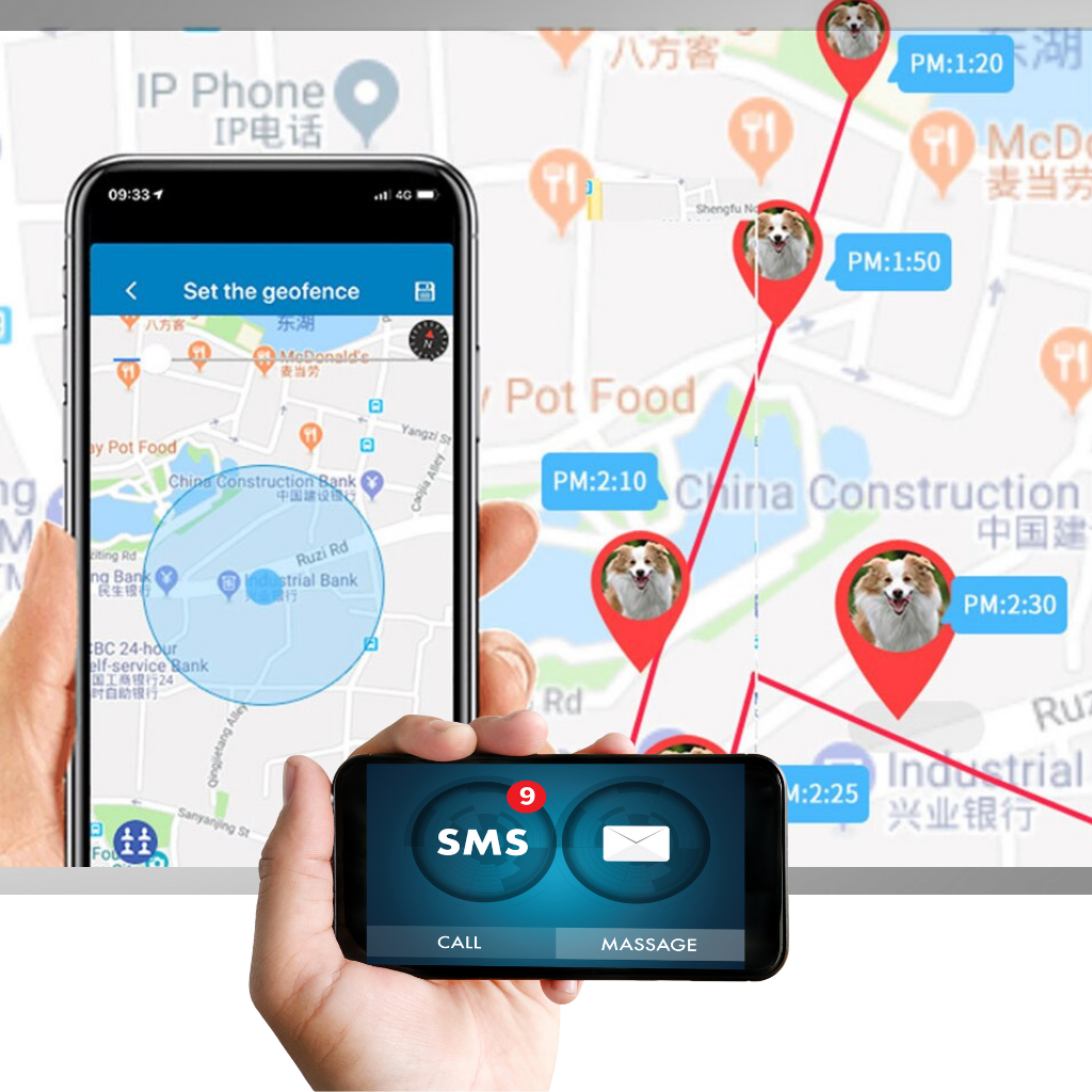 Raxiva - Pet GPS Tracking Collar