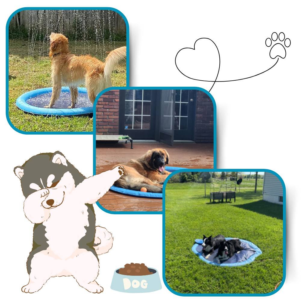 Raxiva - Portable Dog Splash Pad