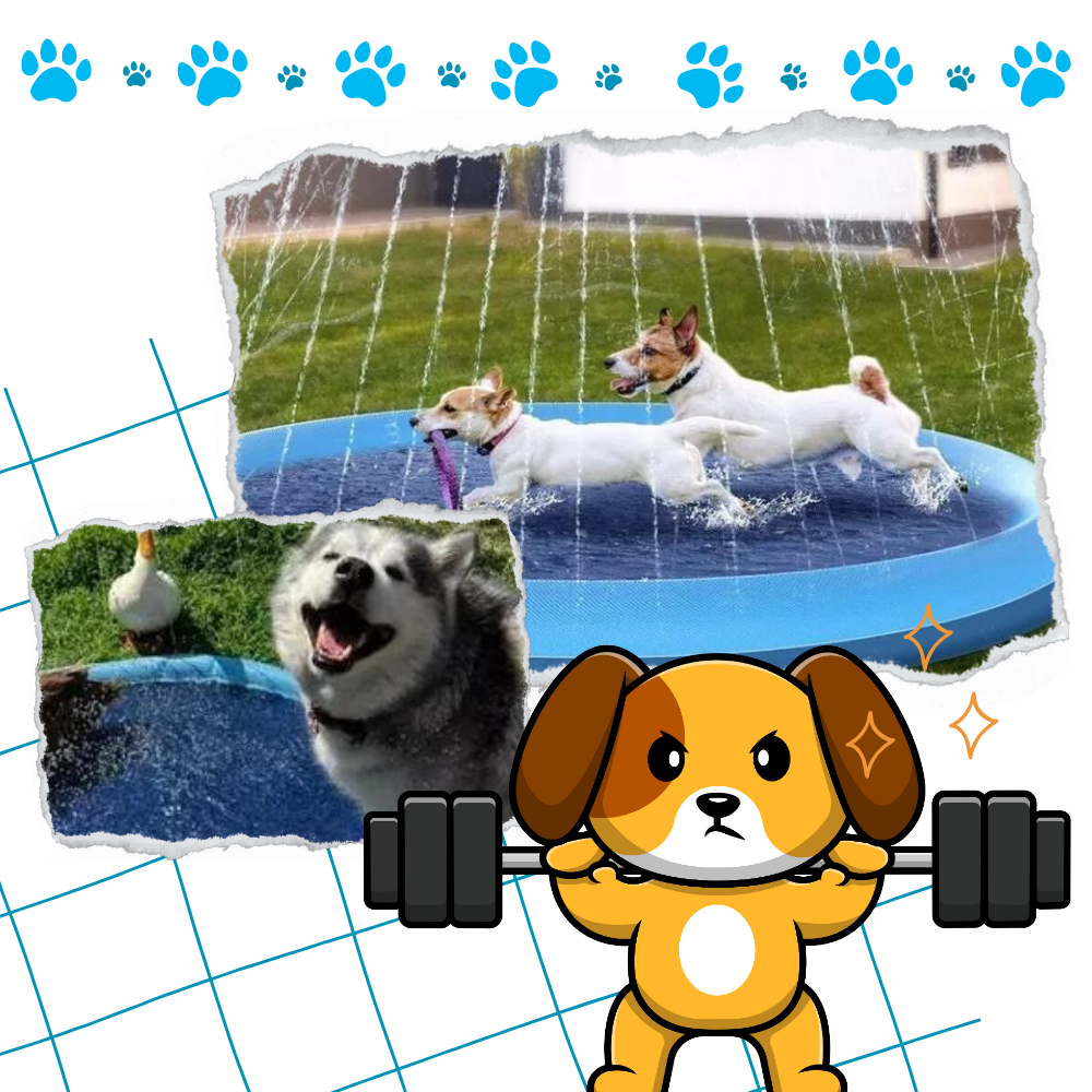 Raxiva - Portable Dog Splash Pad