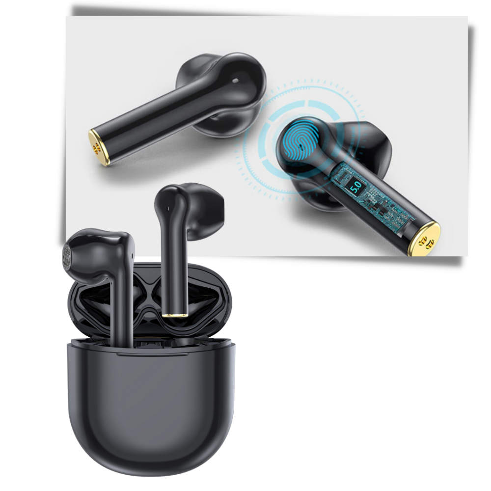 Raxiva - Portable Language Translator Earbuds