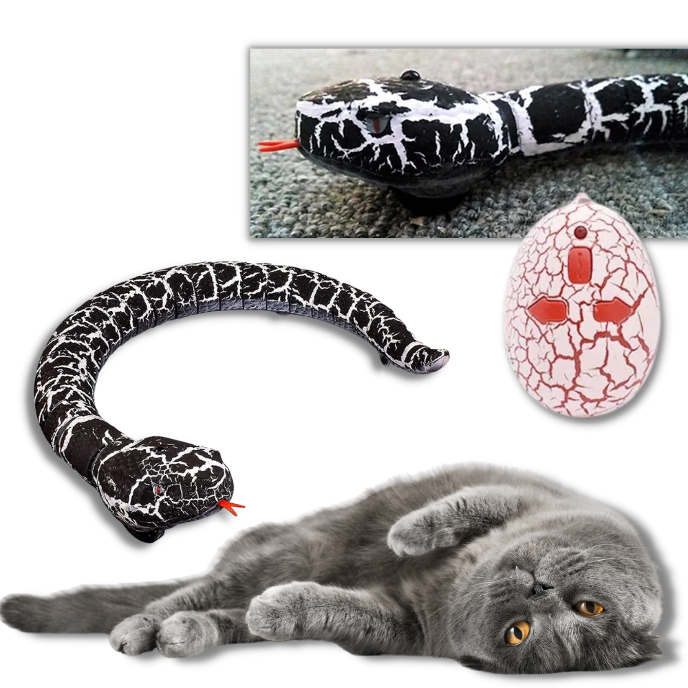 Raxiva - Remote control interactive snake toy for cat