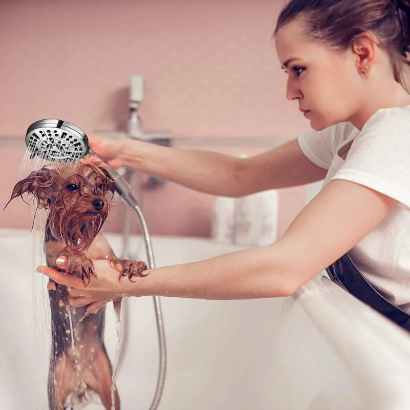 Raxiva - Shower Head with 2-Speed Spray Gun