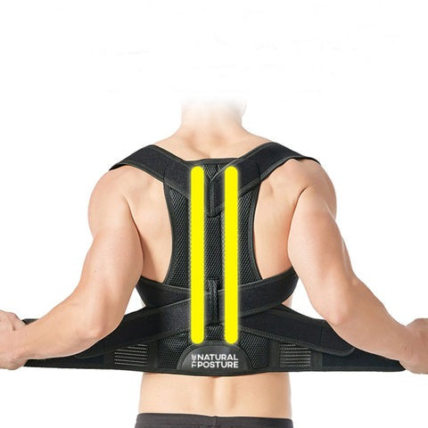 Raxiva-complete back support brace