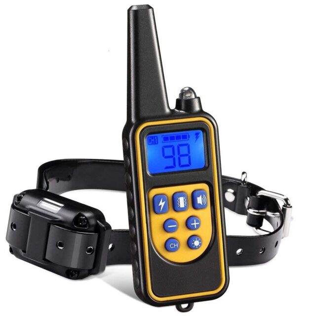Raxiva-electric dog training collar 800m range
