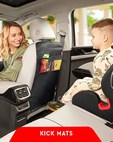 Raxiva-2 pack car backseat organizer