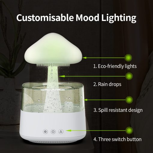 Raxiva-2 in 1 desk light humidifier rain cloud aromatherapy zen diffuser night light mushroom lamp