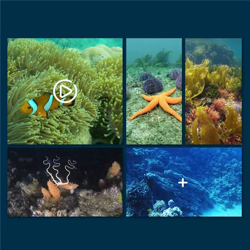 Raxiva-rc submarine with camera