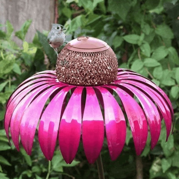 Raxiva-coneflower bird feeder