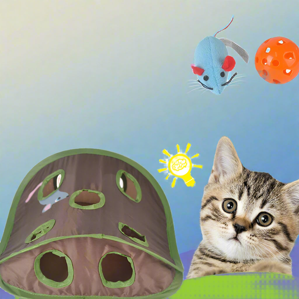 Raxiva-9 hole tunnel cat mouse game