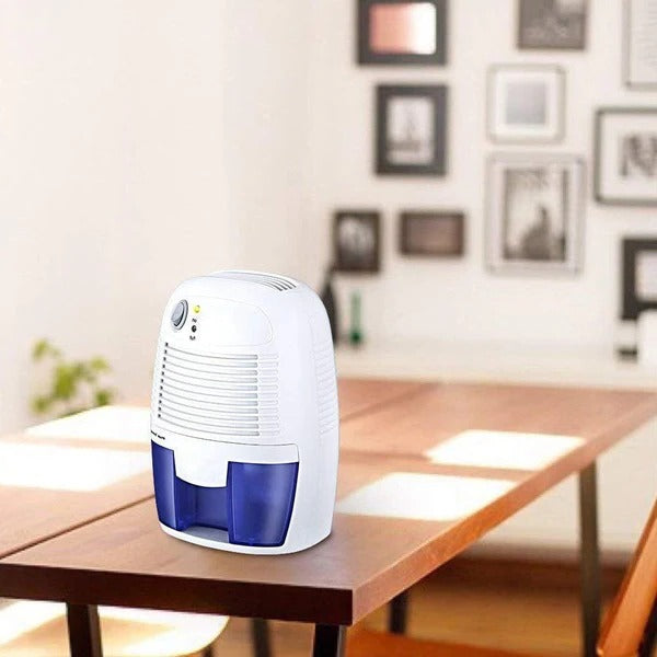 Raxiva-powerful portable mini home dehumidifier for basement garage crawl space