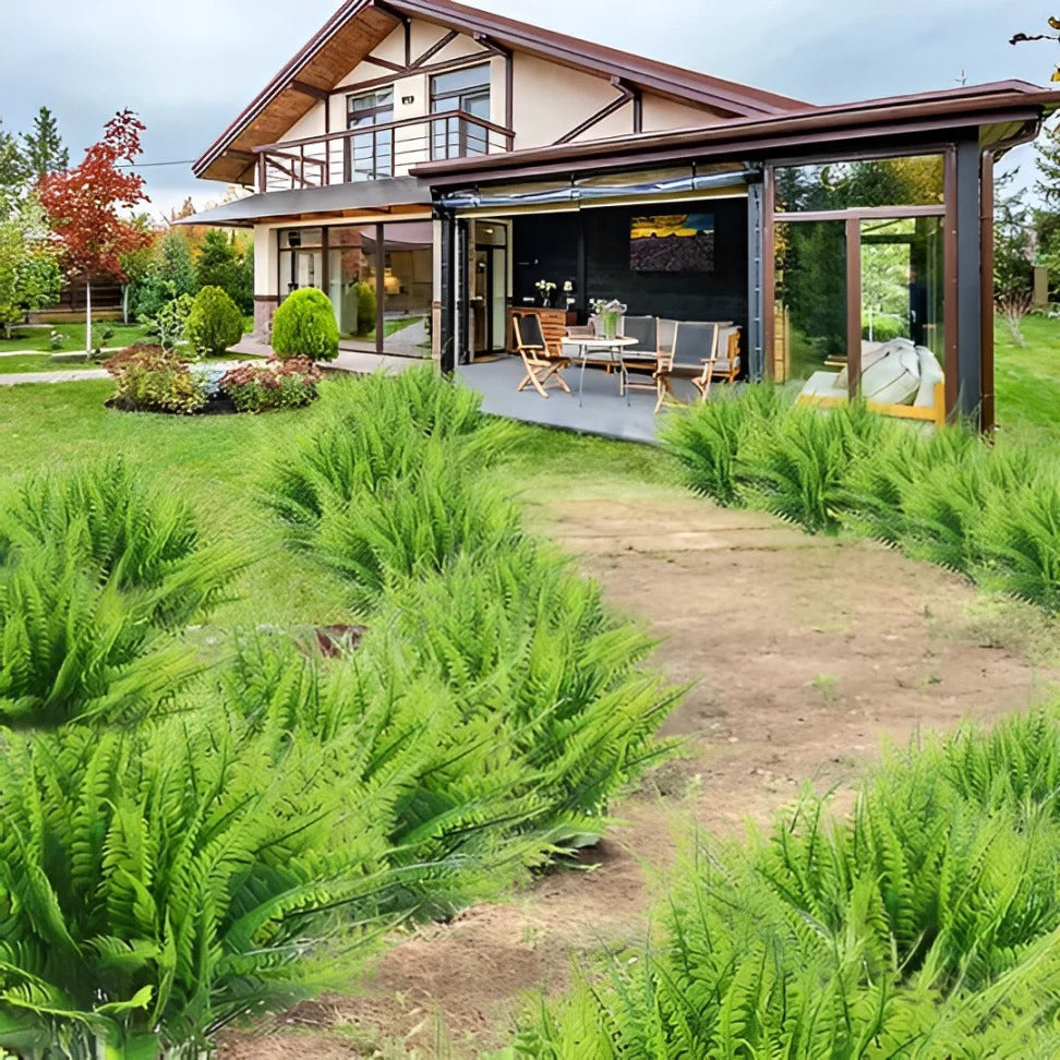 Raxiva-uv resistant lifelike artificial boston fern for outdoors 2