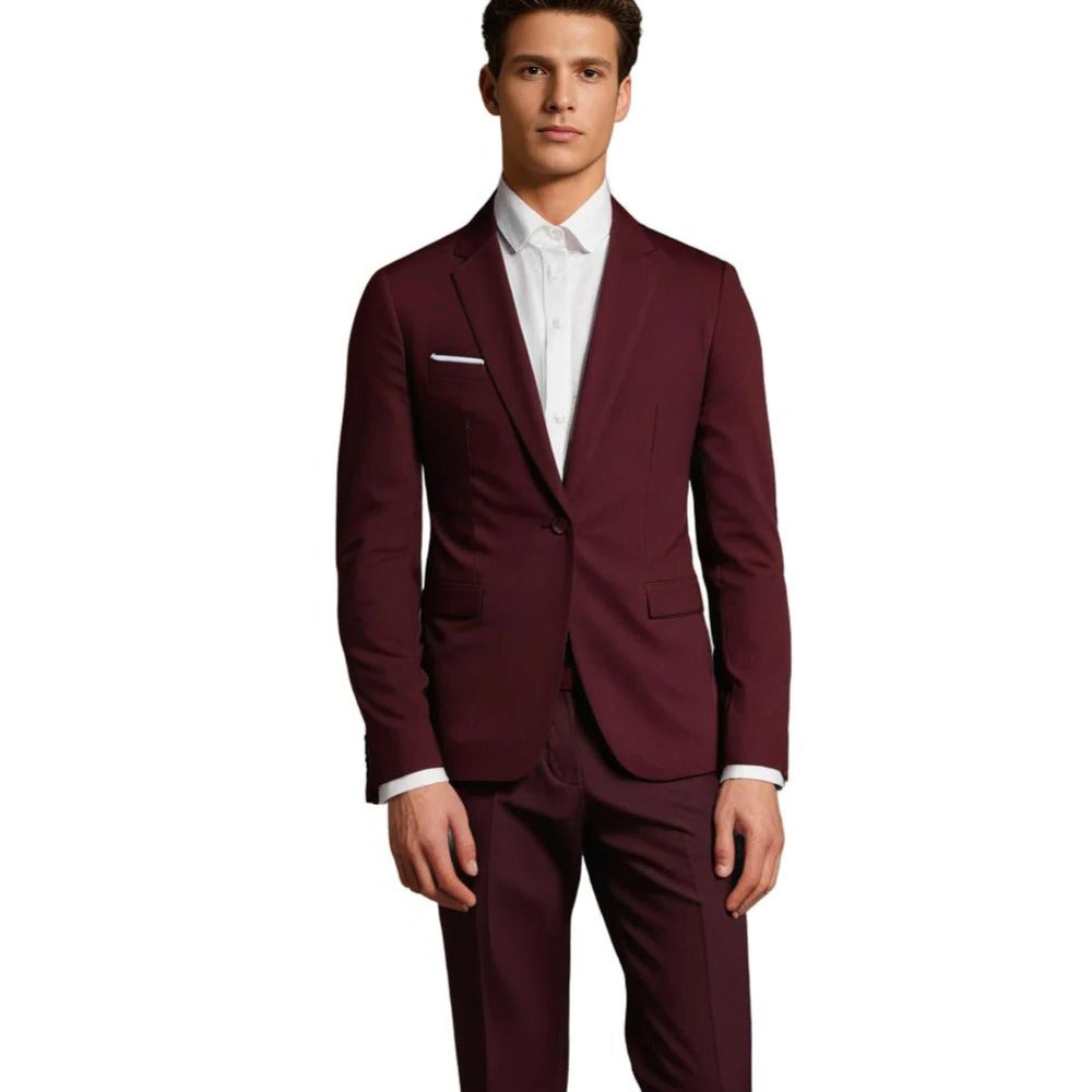 Raxiva-mens blazer and trousers suit