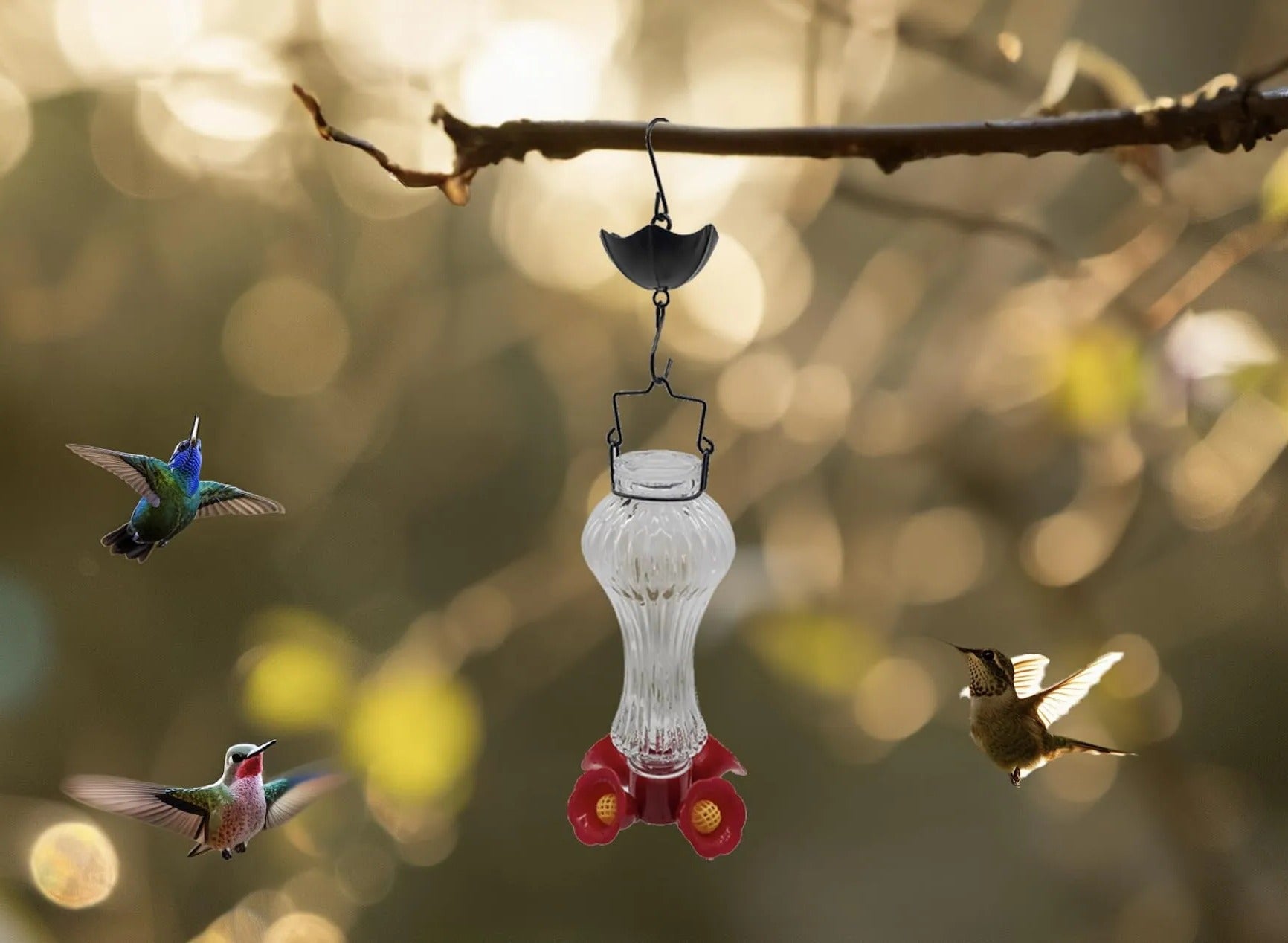 Raxiva-hummingbird feeder glass with flowers and ant moat