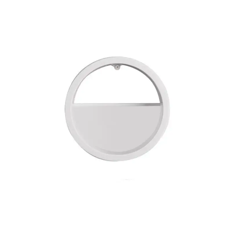 Raxiva-pot de fleurs mural chic